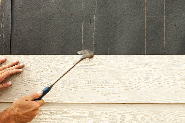 Best Engineered Wood Siding  in Ville Ptte, LA